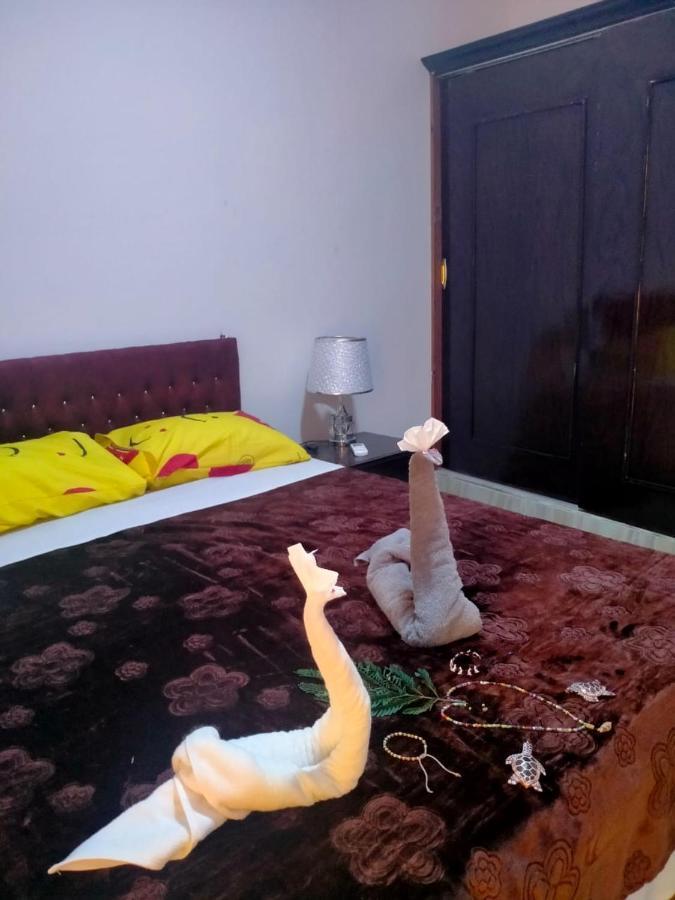Lady Queen Appartment Marsa Alam Extérieur photo